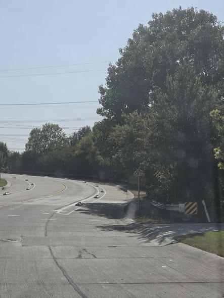 King Arthur curve where concrete roadway features alternate between bright pavement and deep tree shadow
